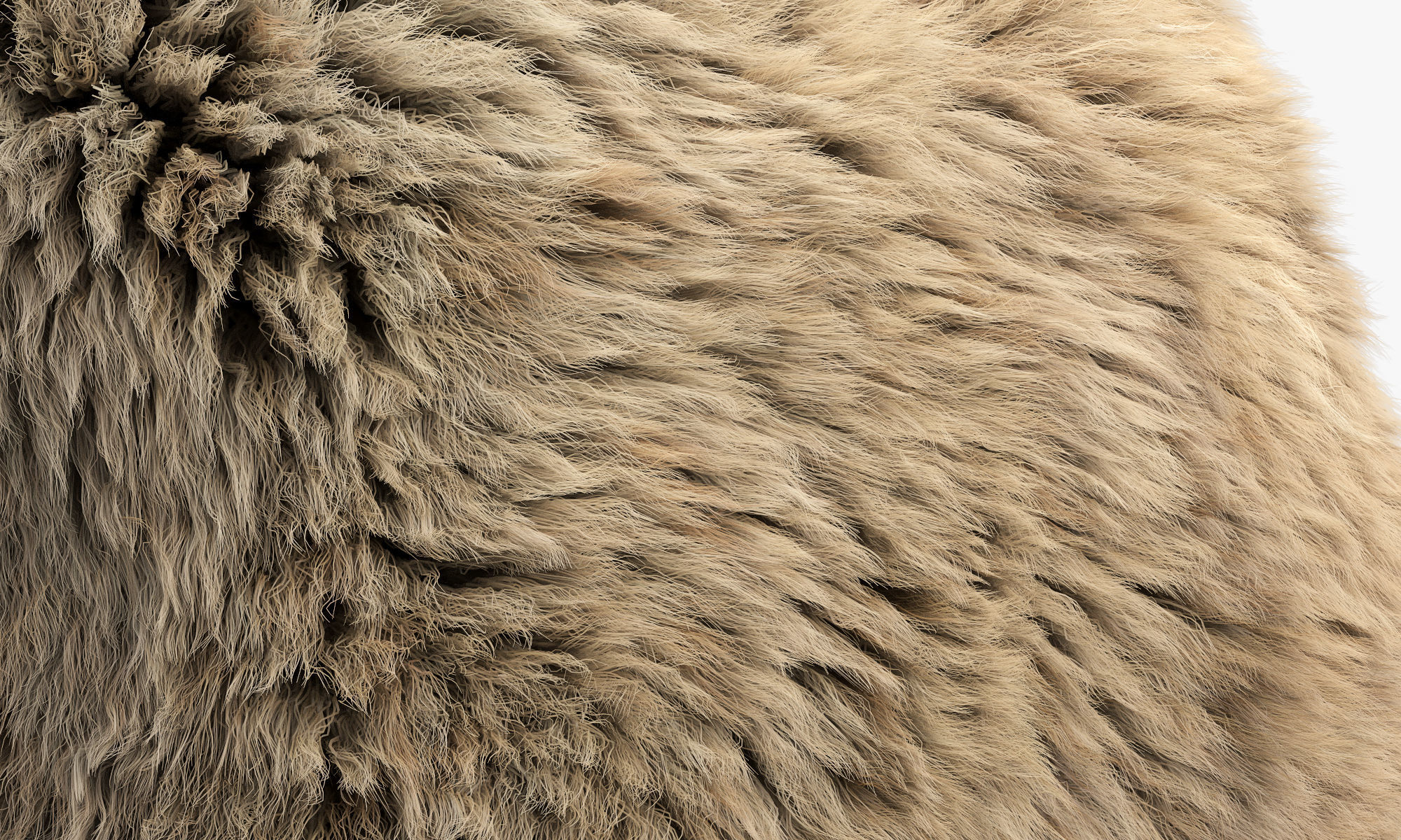 Collection of 38 fur pillows 3D model_51