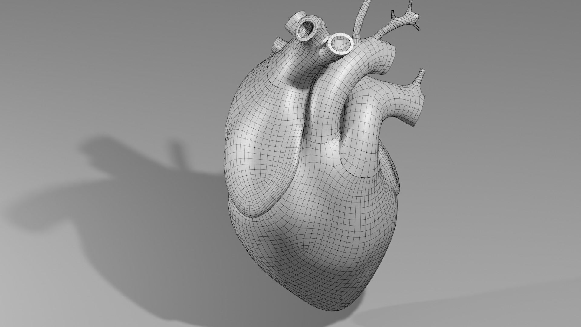 Anatomical model of the human heart Low-poly 3D model_18