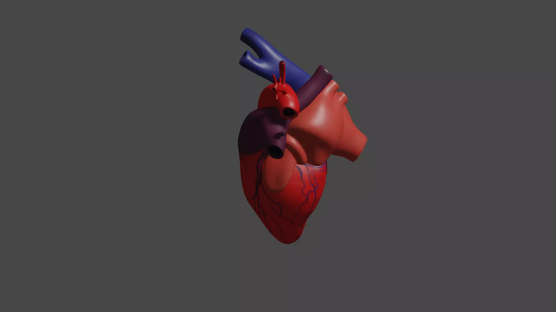 Anatomical model of the human heart Low-poly 3D model_0
