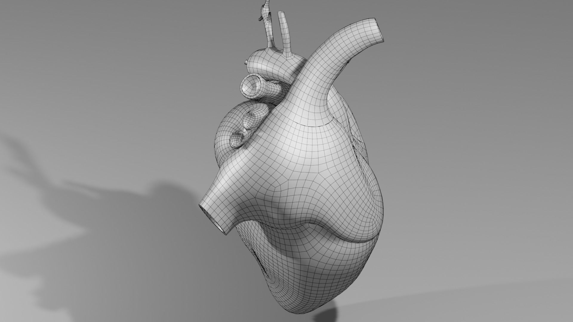 Anatomical model of the human heart Low-poly 3D model_22