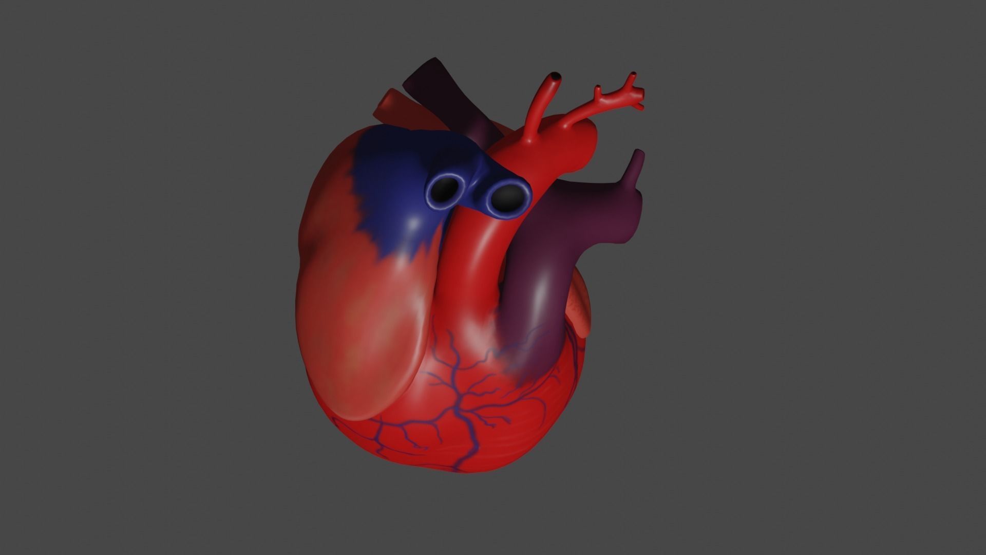 Anatomical model of the human heart Low-poly 3D model_10