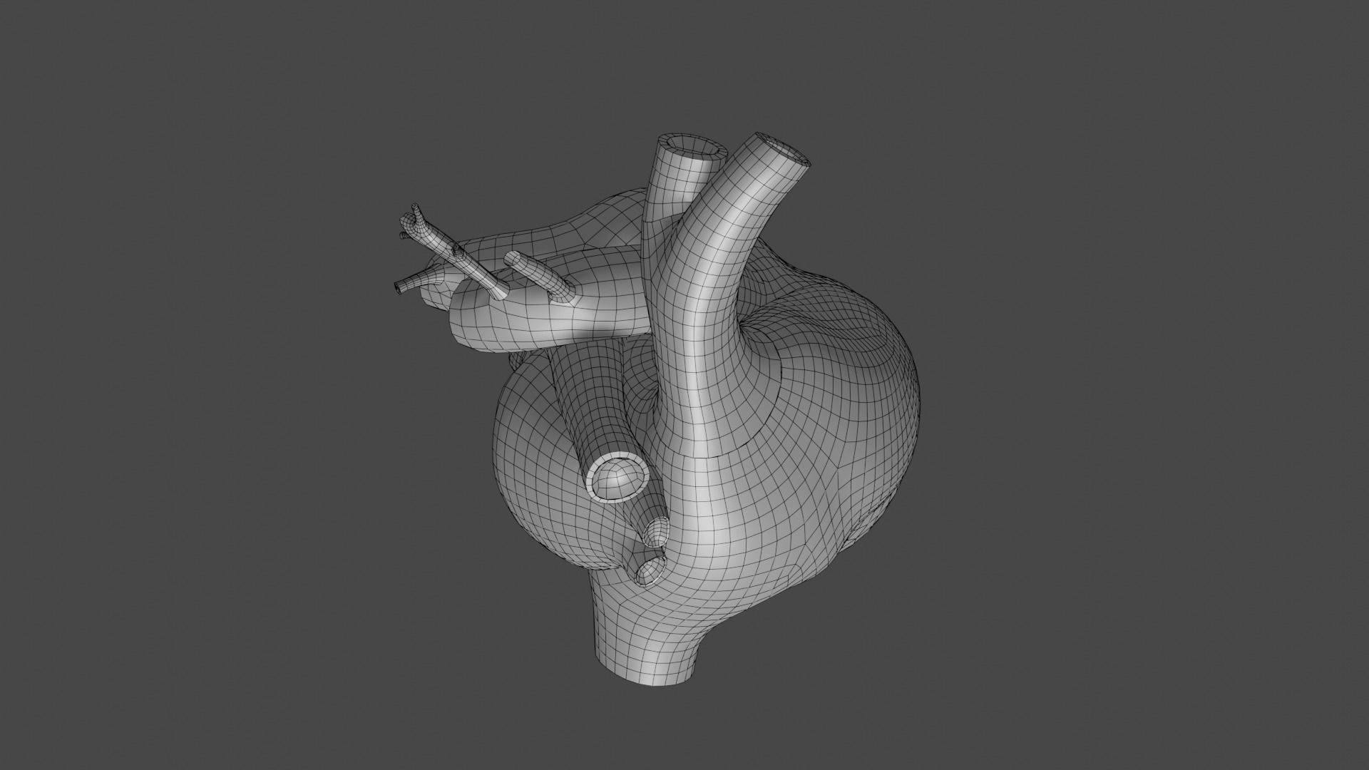Anatomical model of the human heart Low-poly 3D model_25