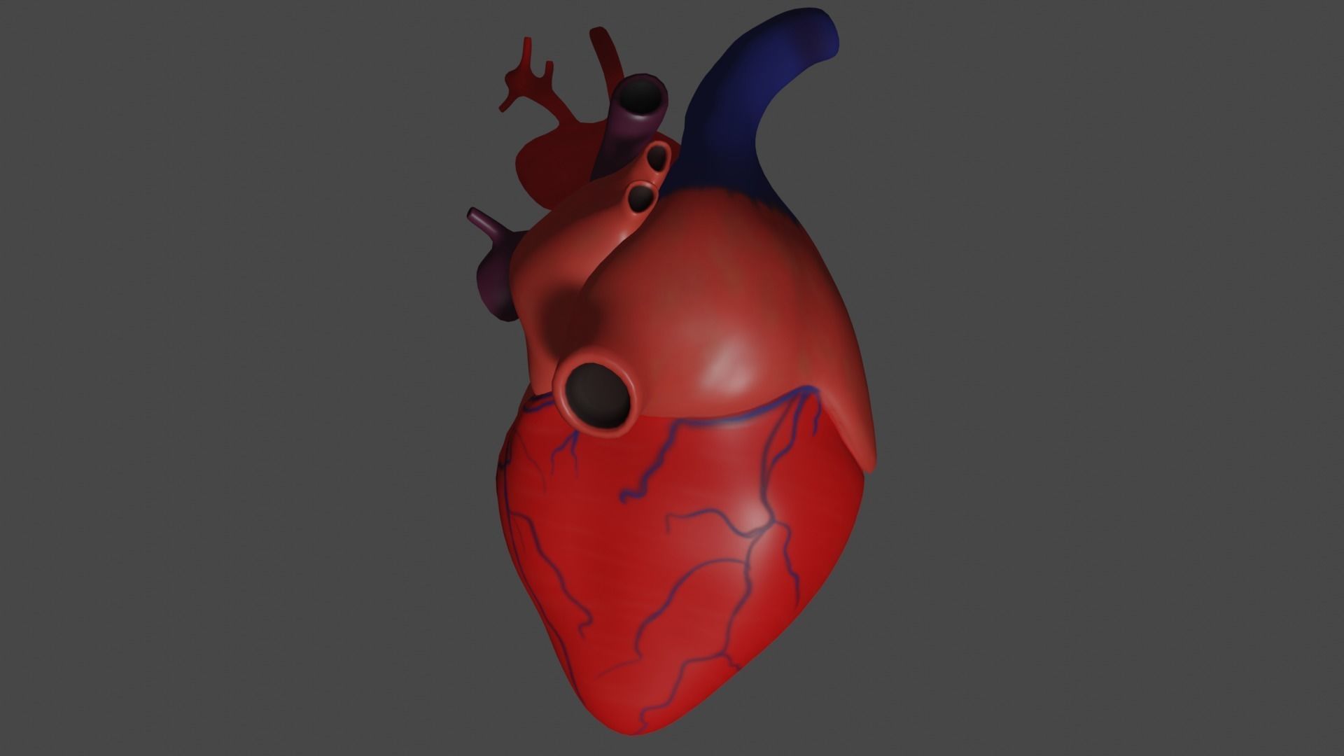 Anatomical model of the human heart Low-poly 3D model_12