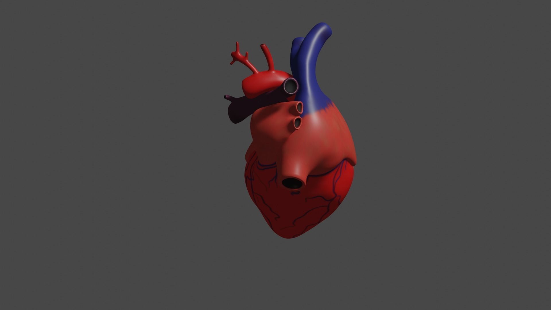 Anatomical model of the human heart Low-poly 3D model_6