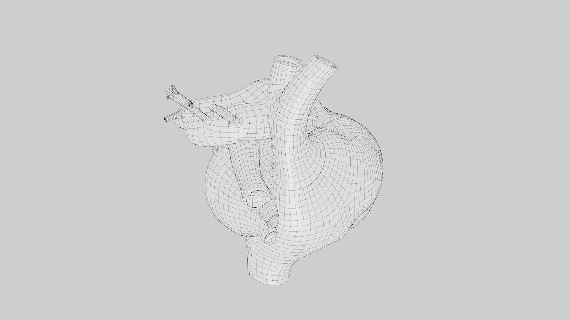 Anatomical model of the human heart Low-poly 3D model_27