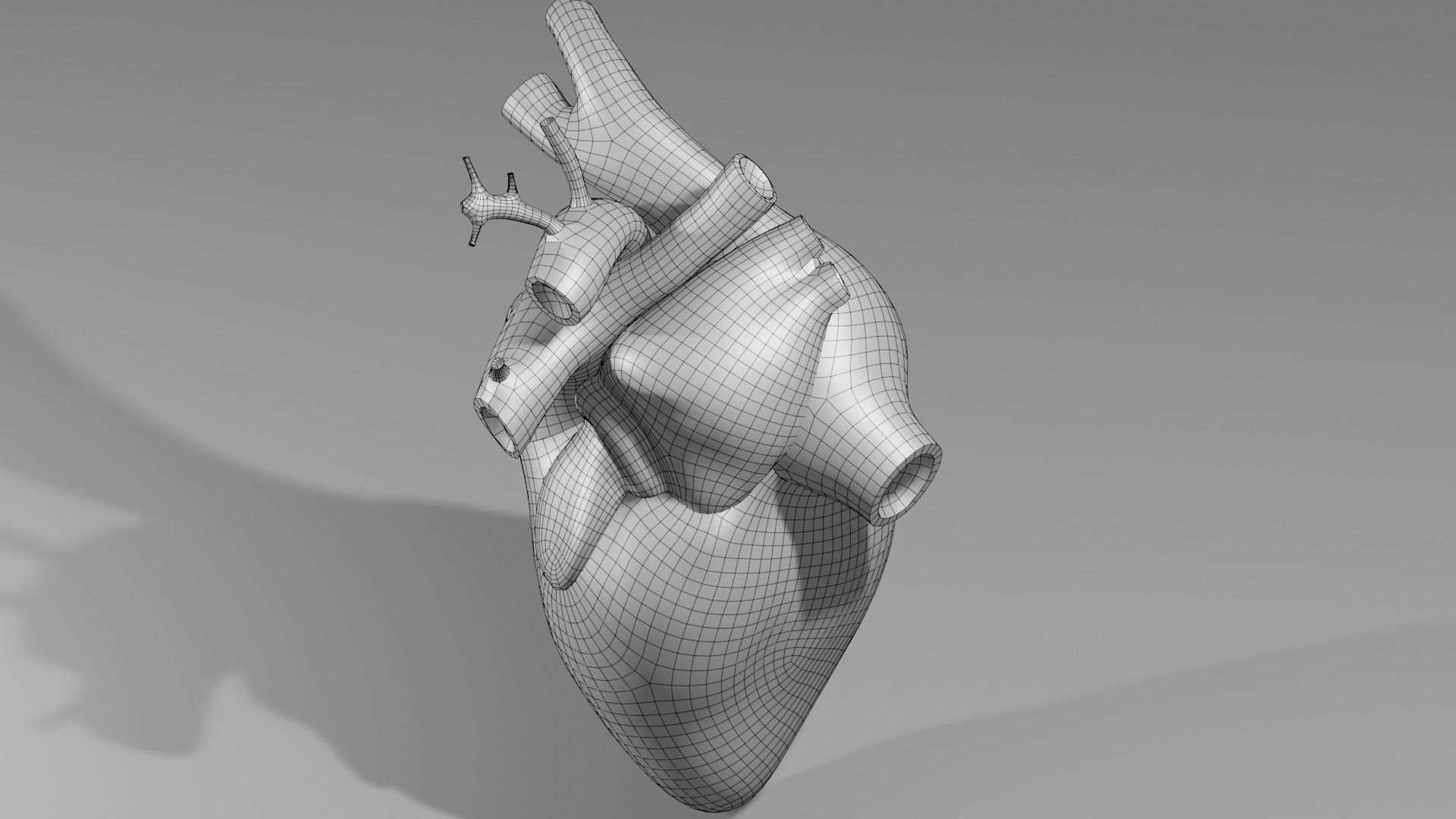Anatomical model of the human heart Low-poly 3D model_23