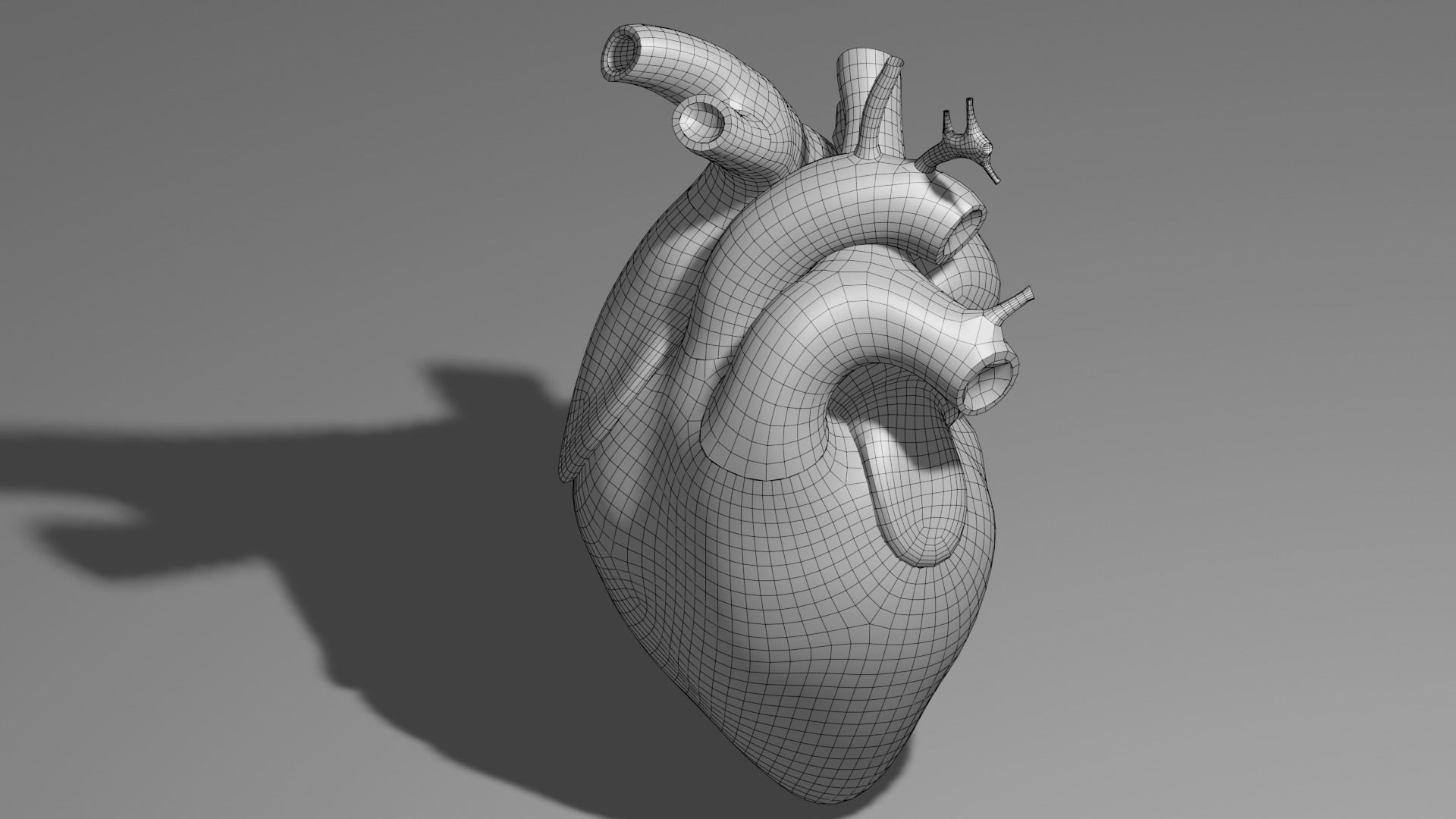 Anatomical model of the human heart Low-poly 3D model_26