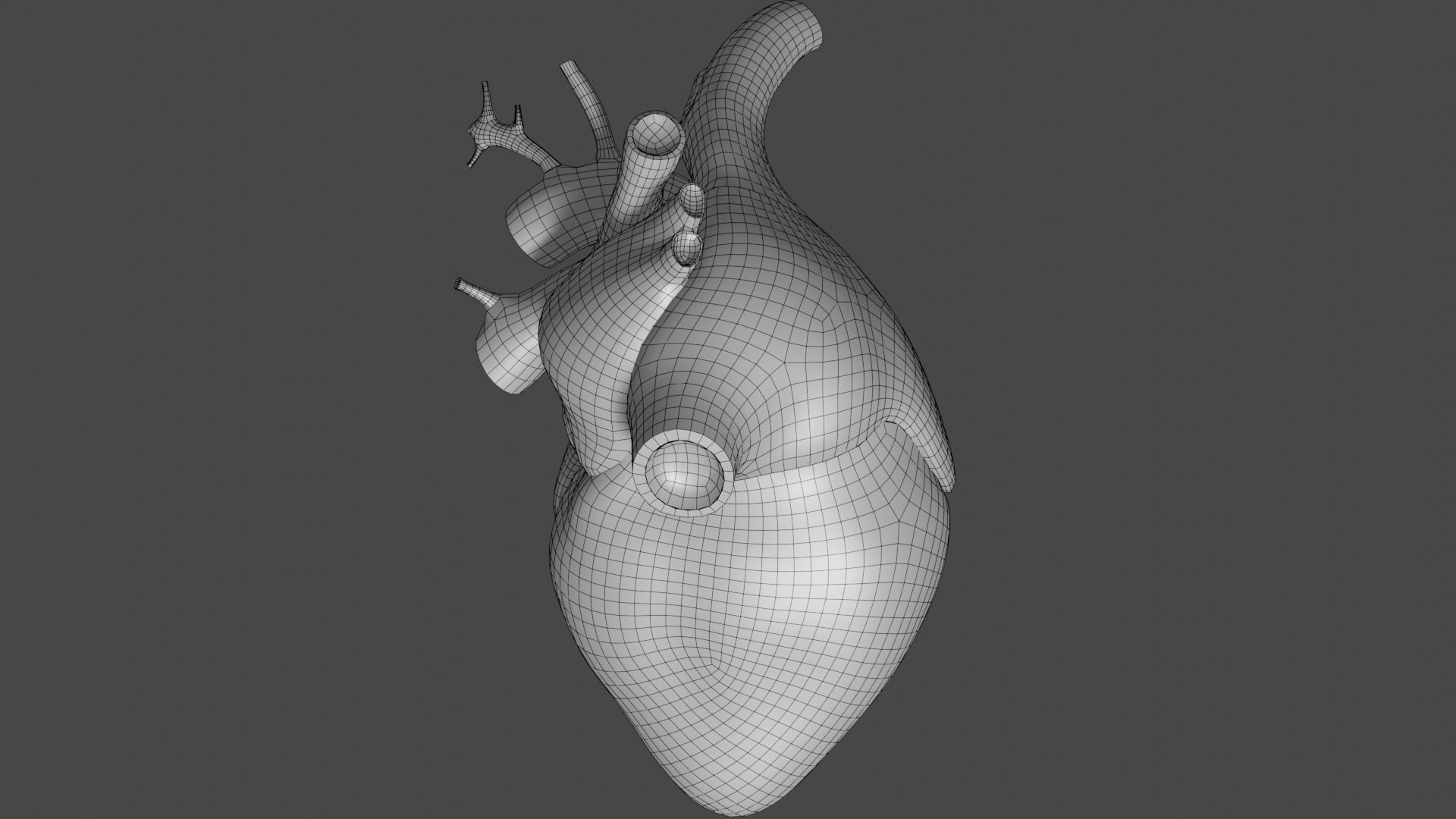 Anatomical model of the human heart Low-poly 3D model_24