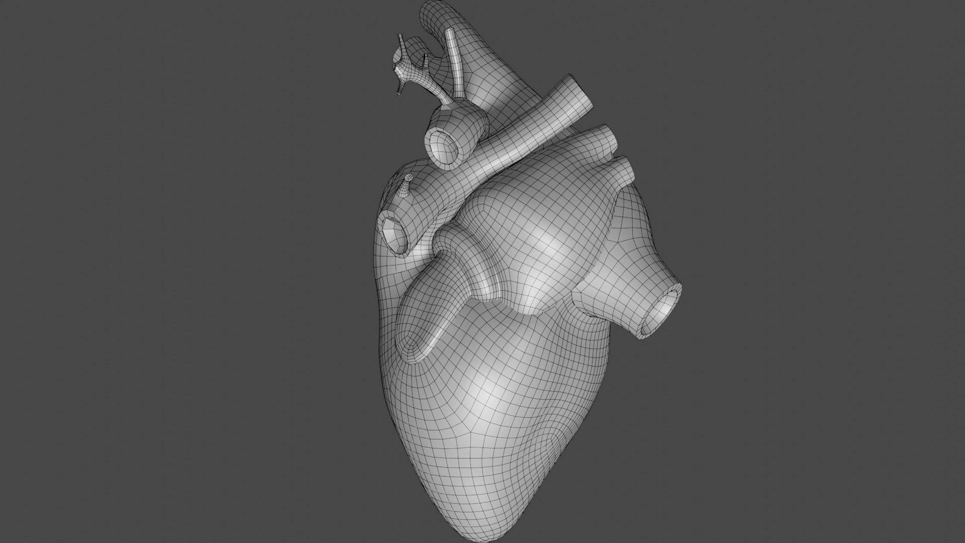 Anatomical model of the human heart Low-poly 3D model_21