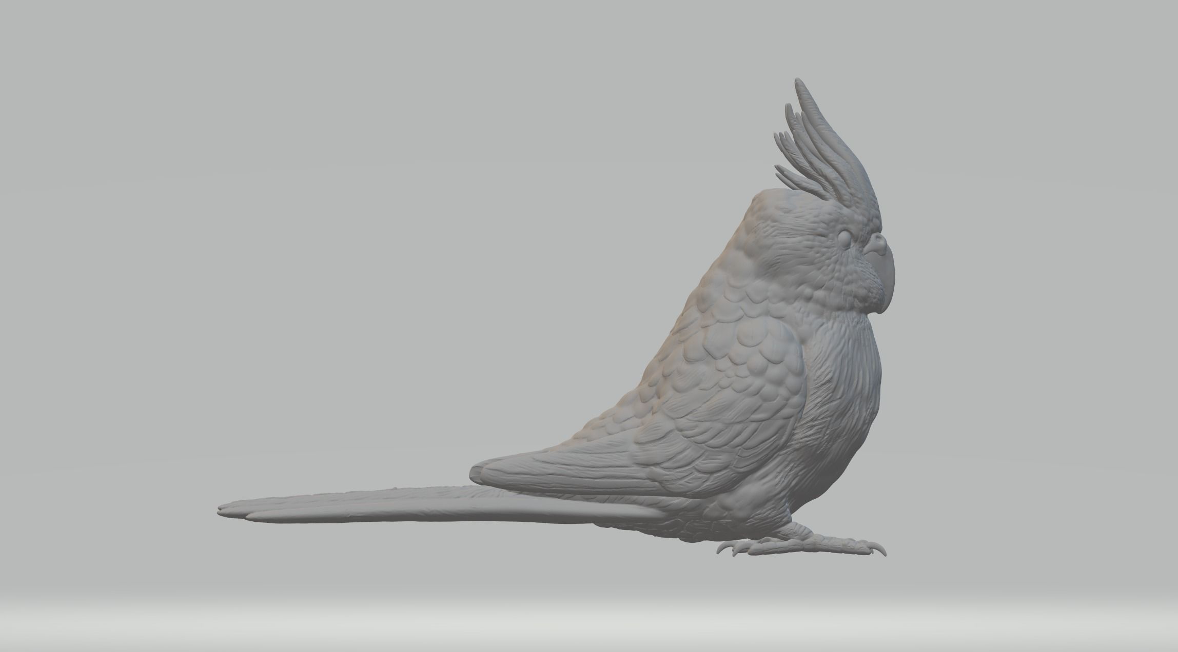 Parrot cockatoo 3D print model_3