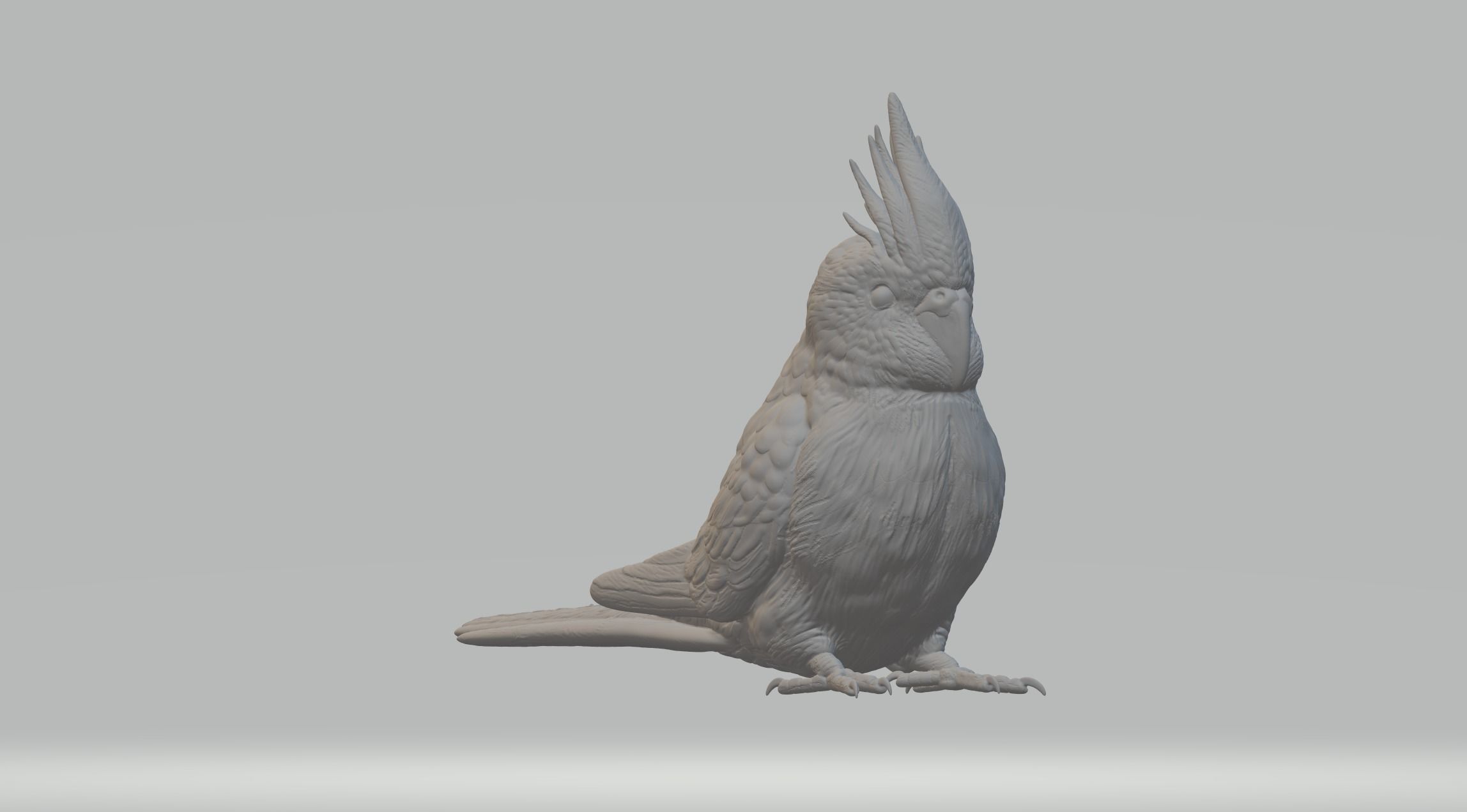 Parrot cockatoo 3D print model_4