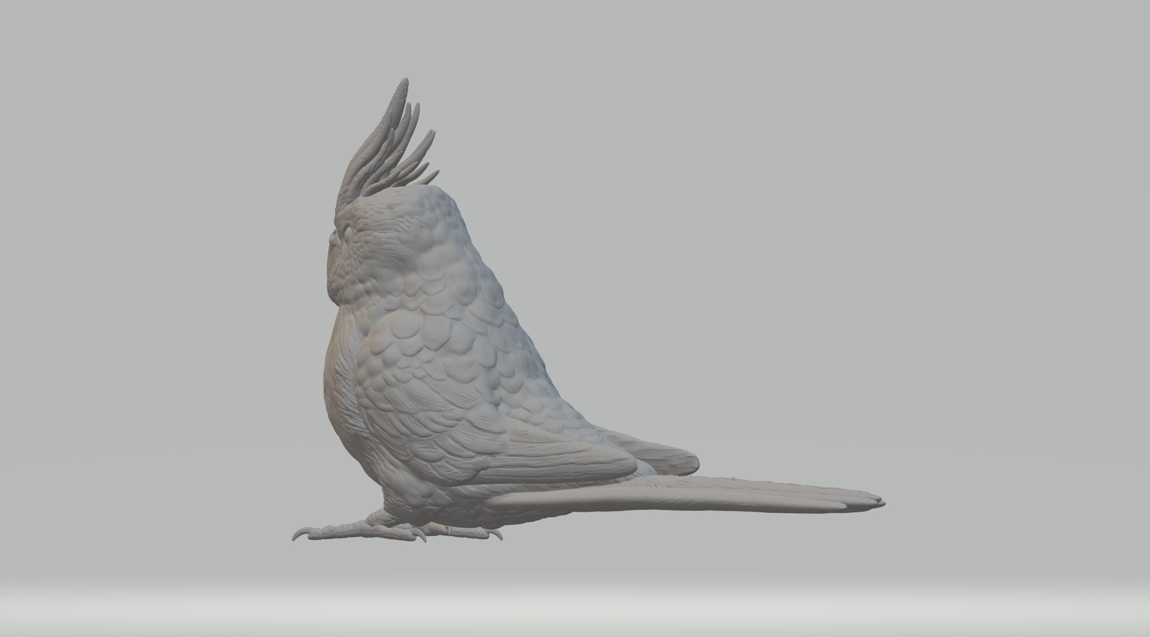 Parrot cockatoo 3D print model_1