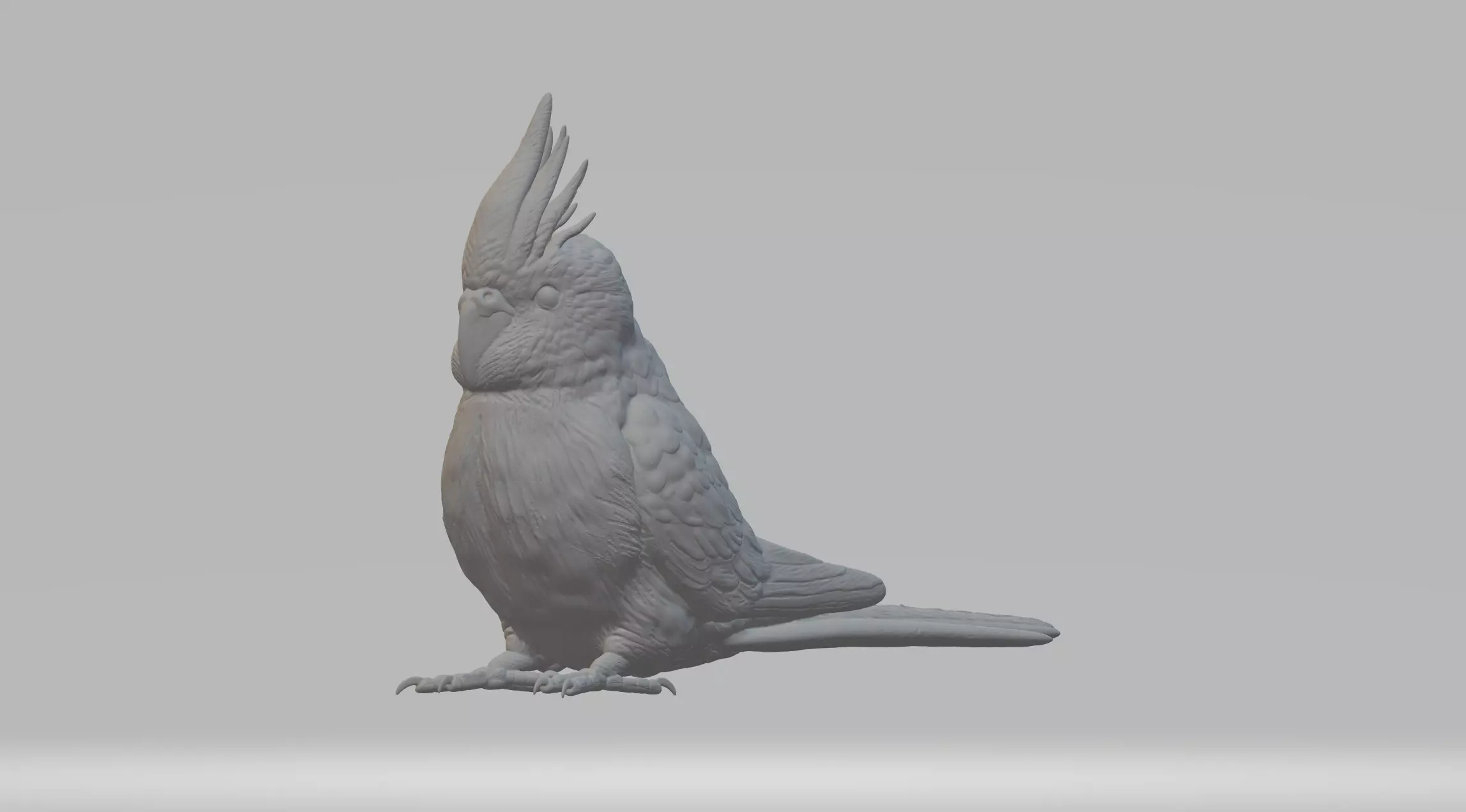 Parrot cockatoo 3D print model_0