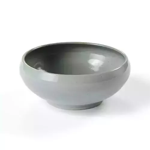 polypasta - pottery west - ramen bowl - powder