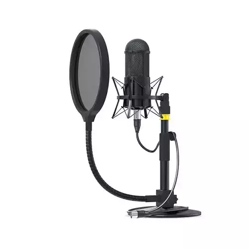 Broadcast Studio microphone with small stand for subdivide