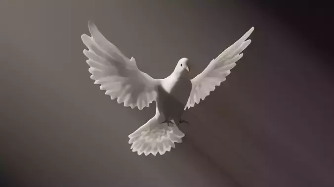White dove