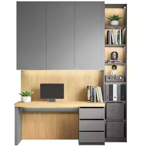Wardrobe with workplace and decor