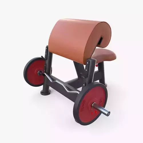 Curl bench 3D model