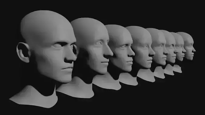 Basic face shapes with the correct topology 3D model