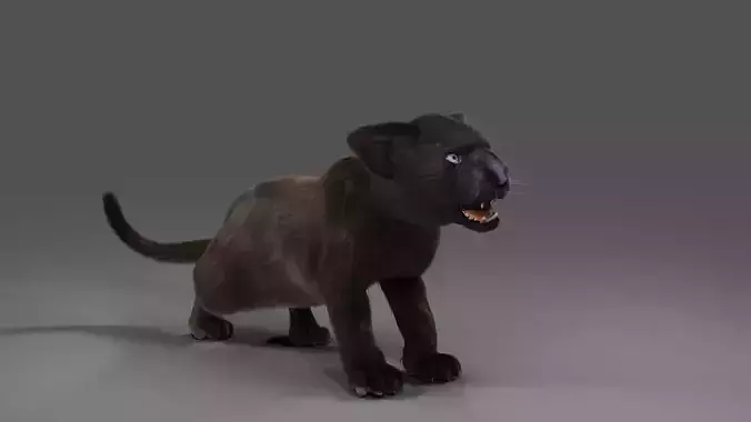 Fur Baby Black Panther Rigged and Animated in Unity