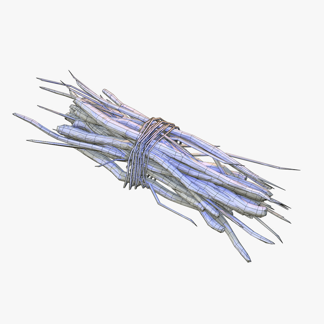 Brushwood bundle of sticks Low-poly 3D model_6