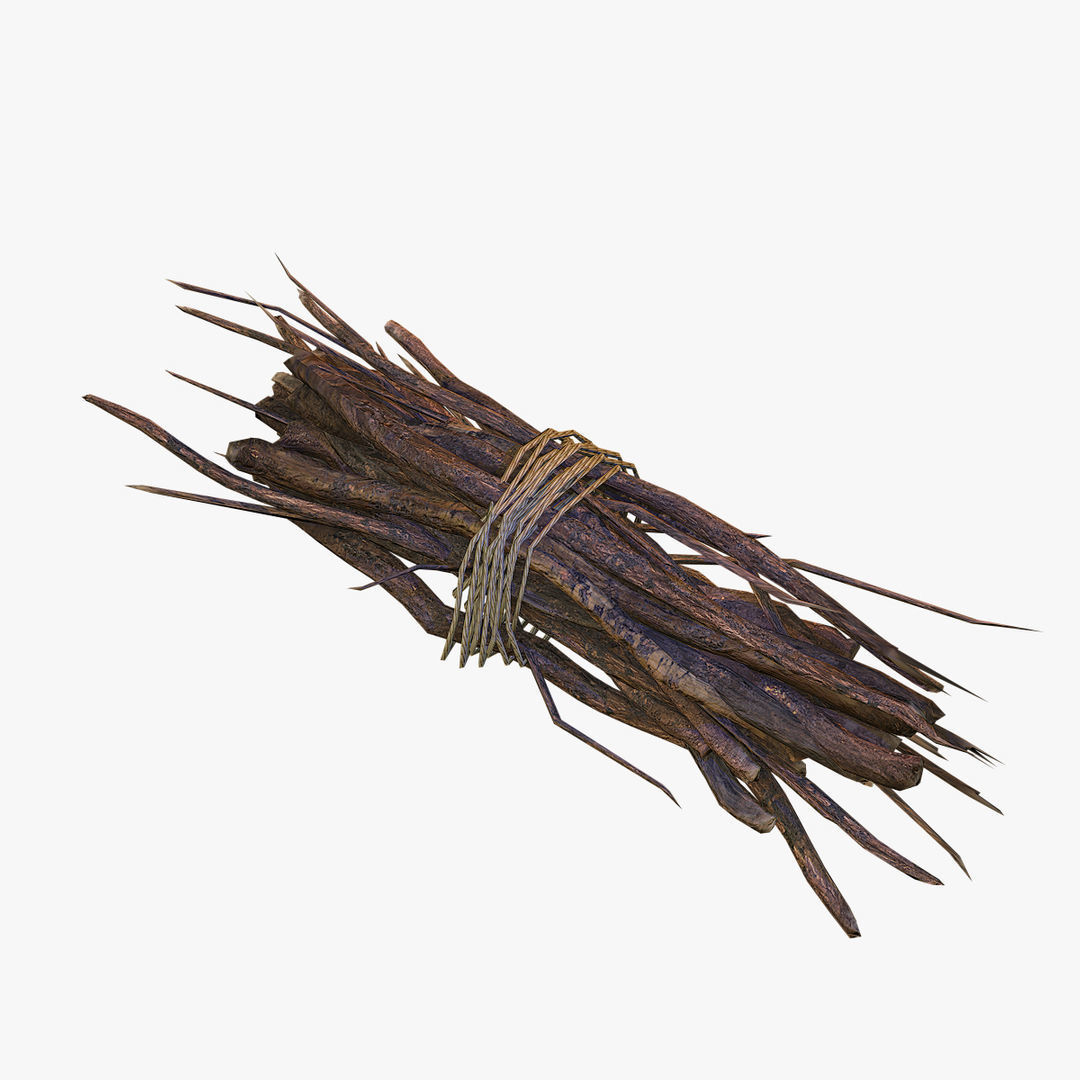 Brushwood bundle of sticks Low-poly 3D model_3