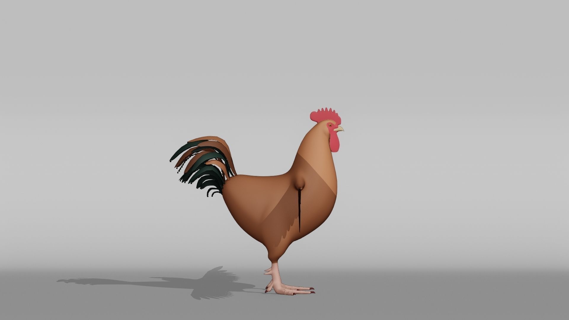Rooster Base Mesh Low-poly 3D model_8