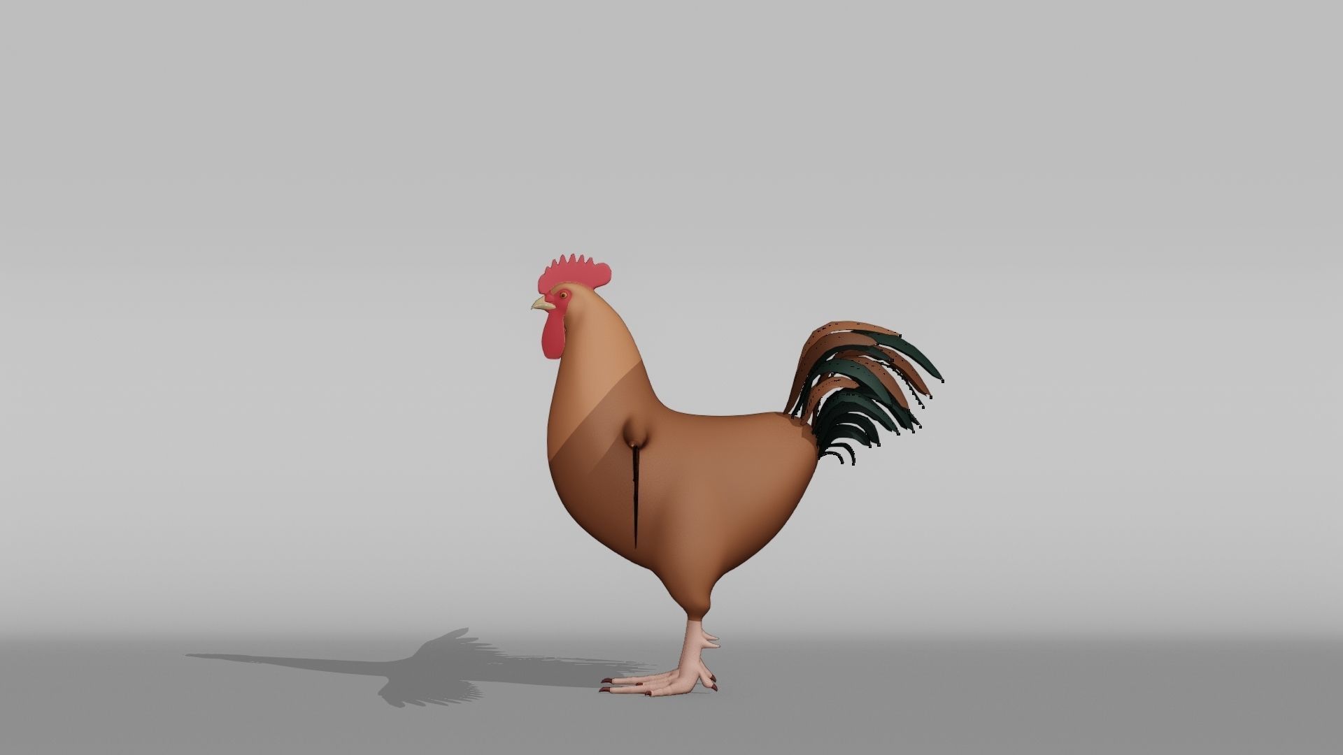 Rooster Base Mesh Low-poly 3D model_10