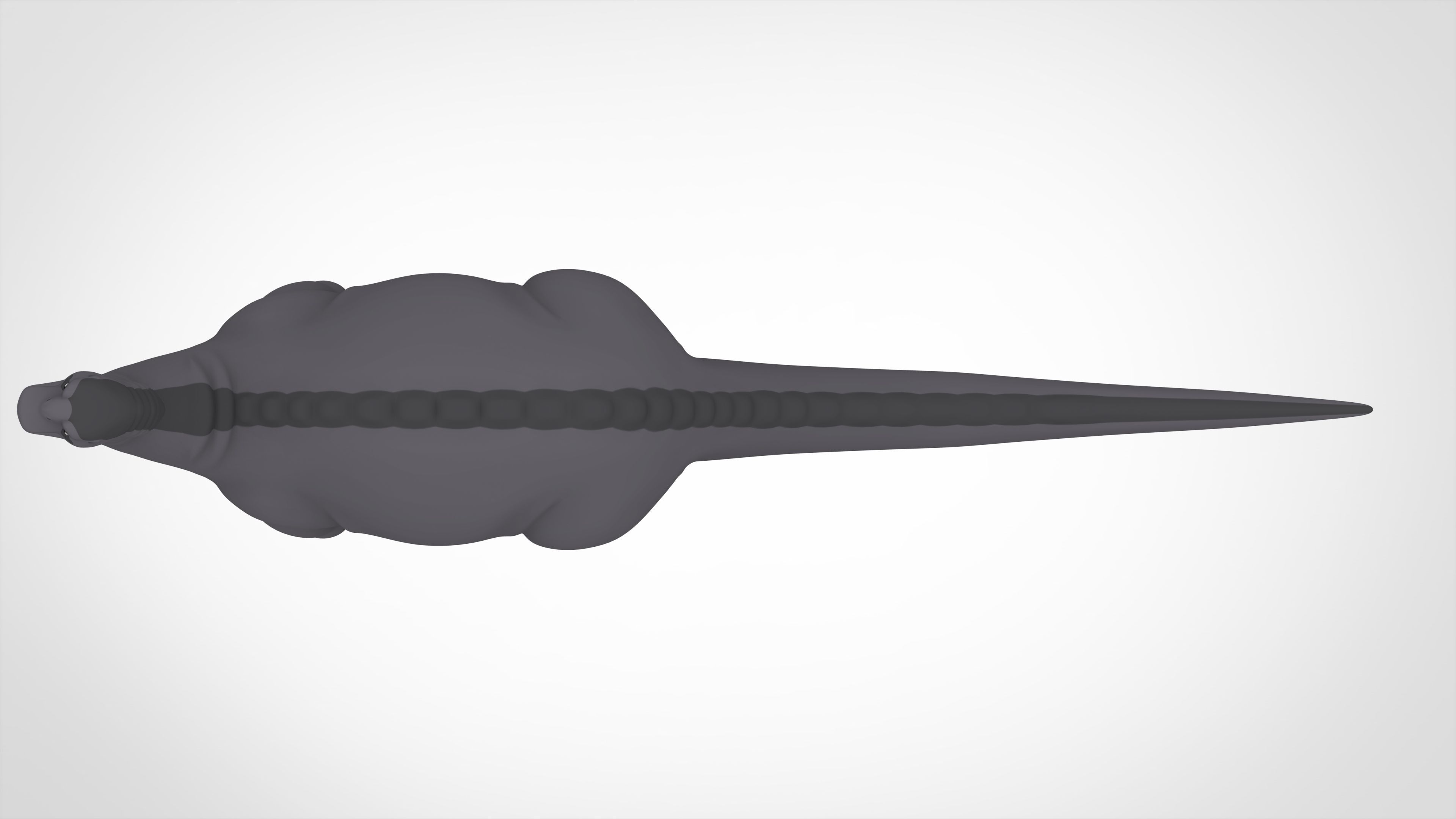 Grandpa Longneck 3D model_4