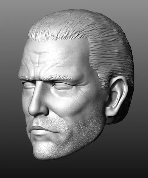 Punisher - Garth Ennis comics covers drawn by Tim Bradstreet 3D print model