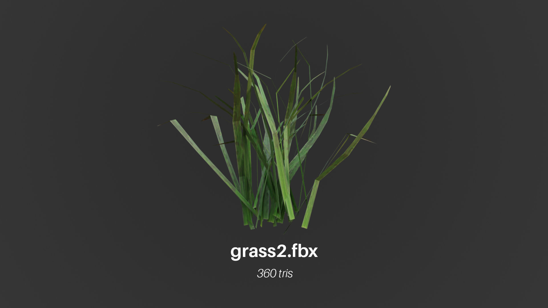 Grass Low Poly Realistic Game Ready 3D Model pack Low-poly 3D model_3