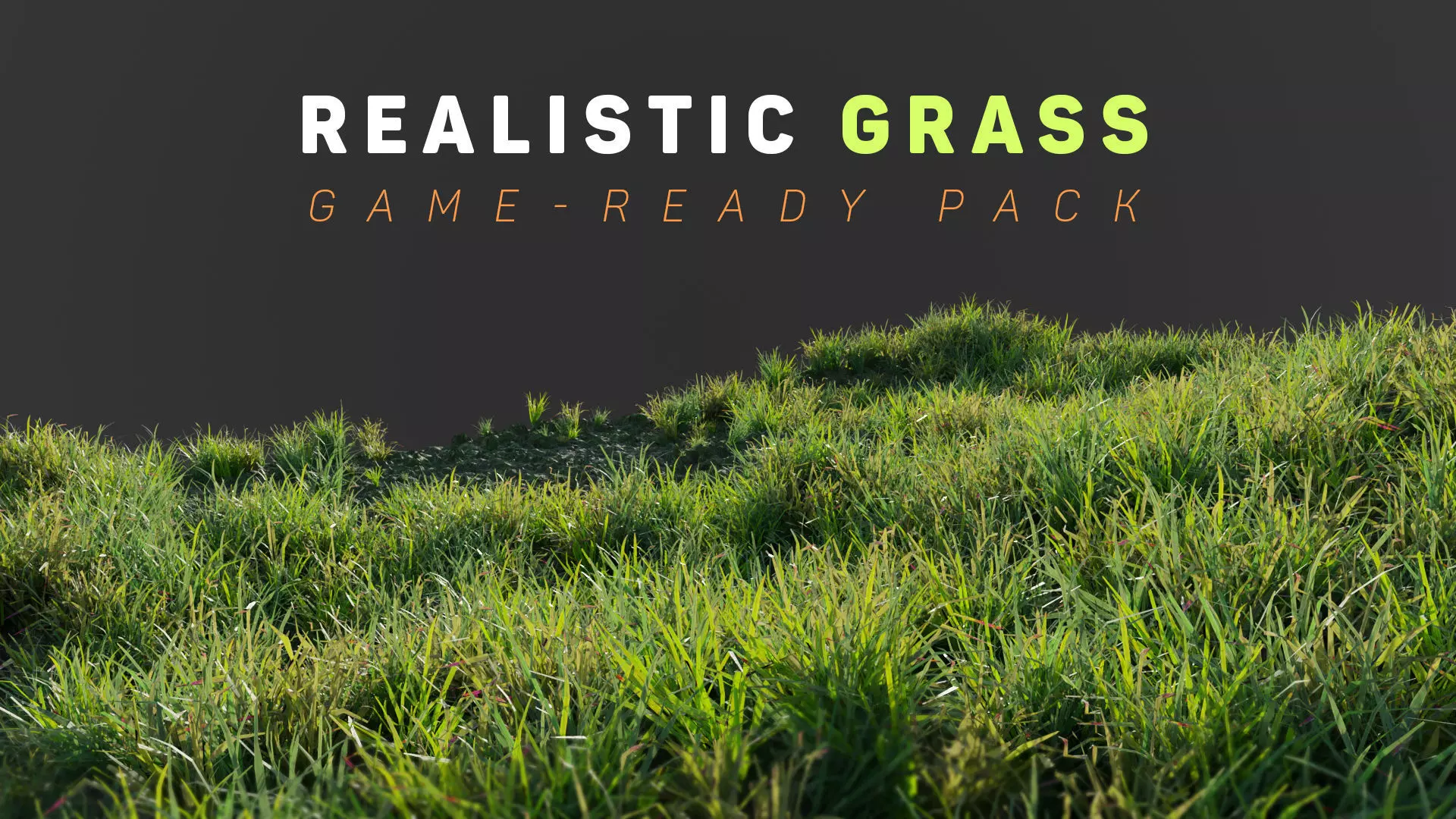 Grass Low Poly Realistic Game Ready 3D Model pack Low-poly 3D model_0