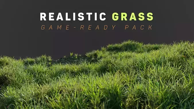 Grass Low Poly Realistic Game Ready 3D Model pack