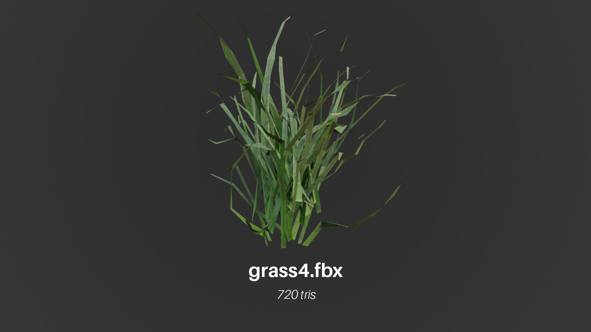 Grass Low Poly Realistic Game Ready 3D Model pack Low-poly 3D model_5