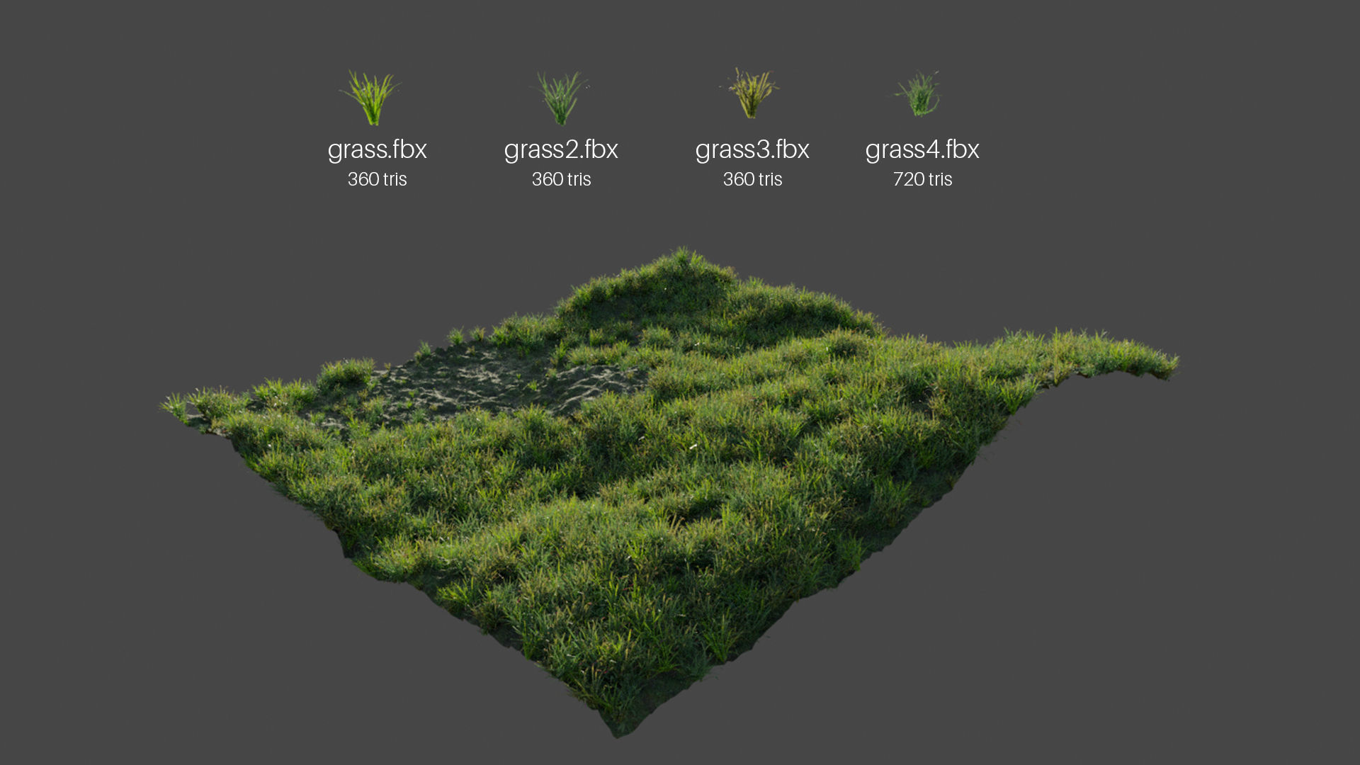 Grass Low Poly Realistic Game Ready 3D Model pack Low-poly 3D model_1