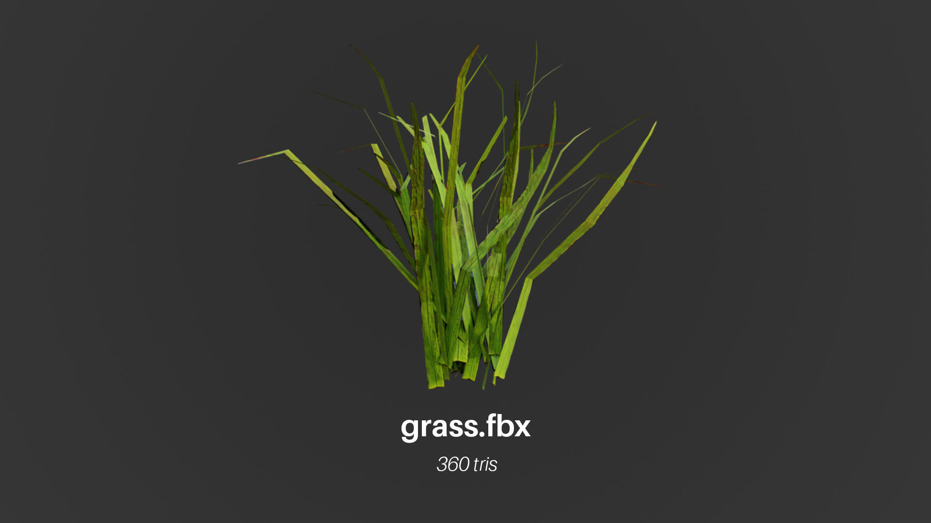Grass Low Poly Realistic Game Ready 3D Model pack Low-poly 3D model_2