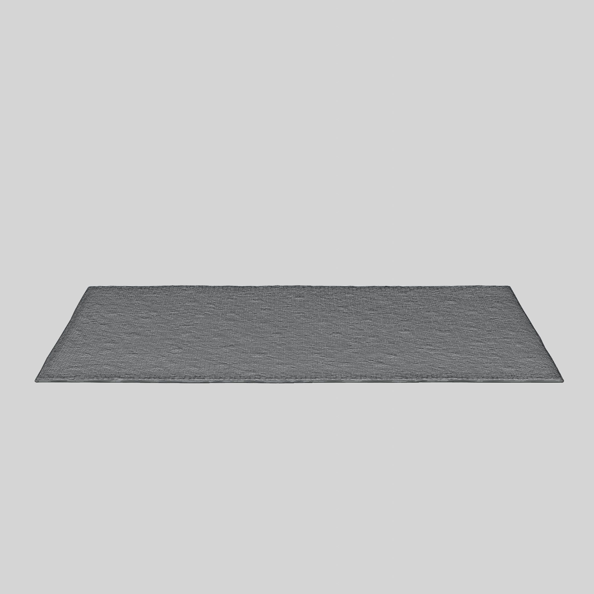 3D Model of Rug in a textured weave Low-poly 3D model_6