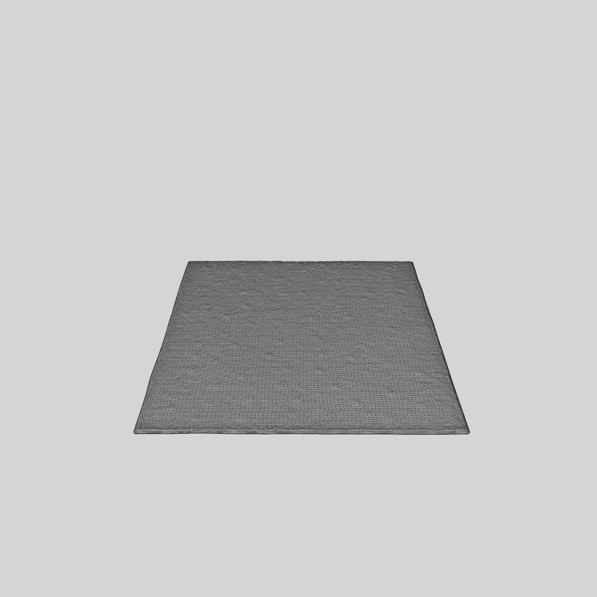 3D Model of Rug in a textured weave Low-poly 3D model_8