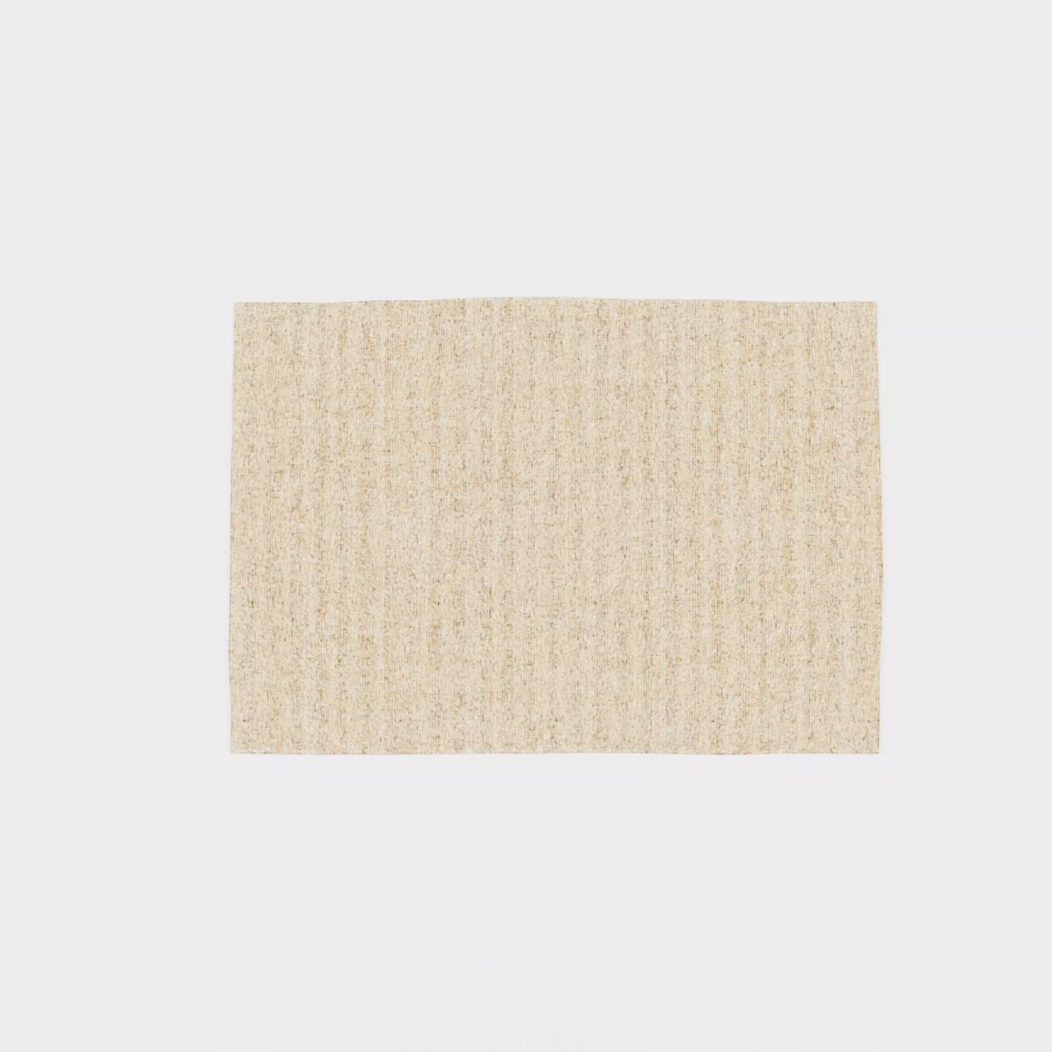 3D Model of a large rug in sturdy Low-poly 3D model_0