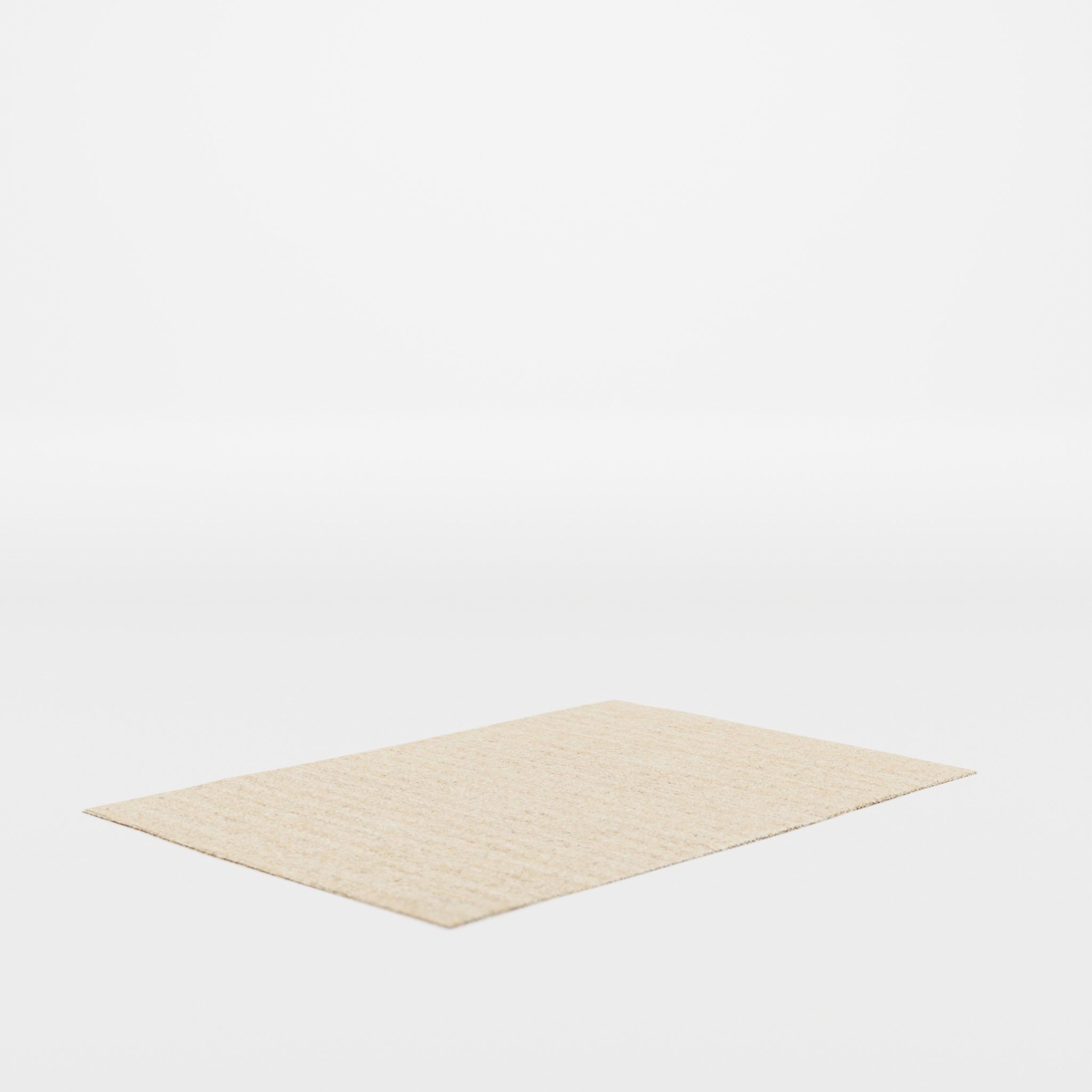 3D Model of a large rug in sturdy Low-poly 3D model_1