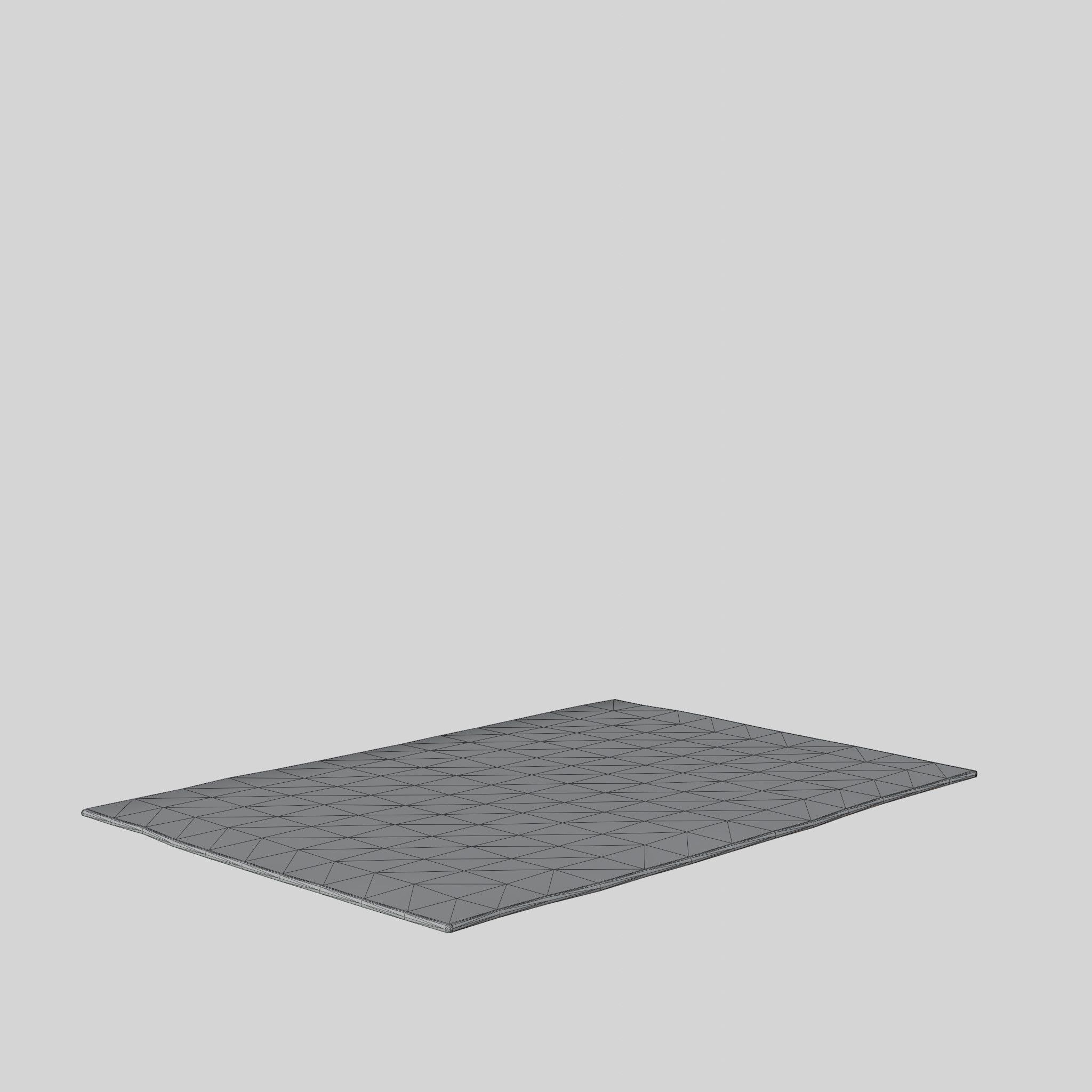 3D Model of a large rug in sturdy Low-poly 3D model_5