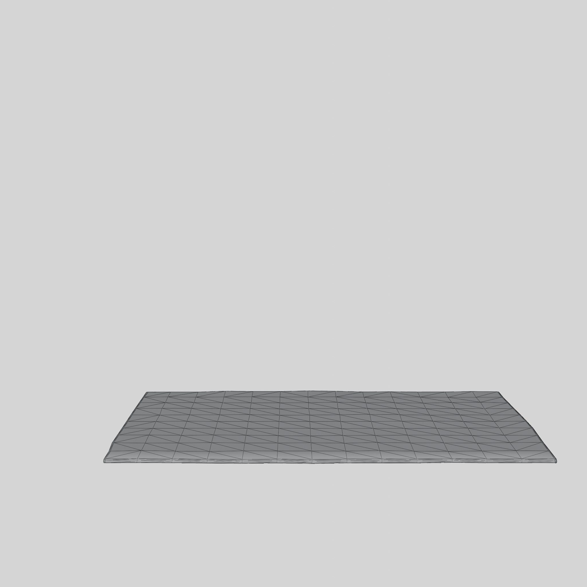 3D Model of a large rug in sturdy Low-poly 3D model_6
