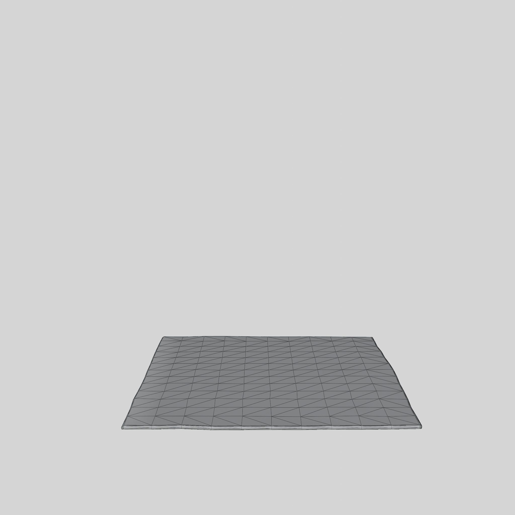 3D Model of a large rug in sturdy Low-poly 3D model_8