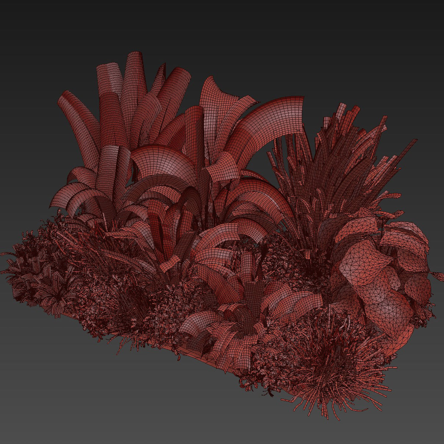 Collection plant vol 456 - indoor - garden - leaf 3D model_5