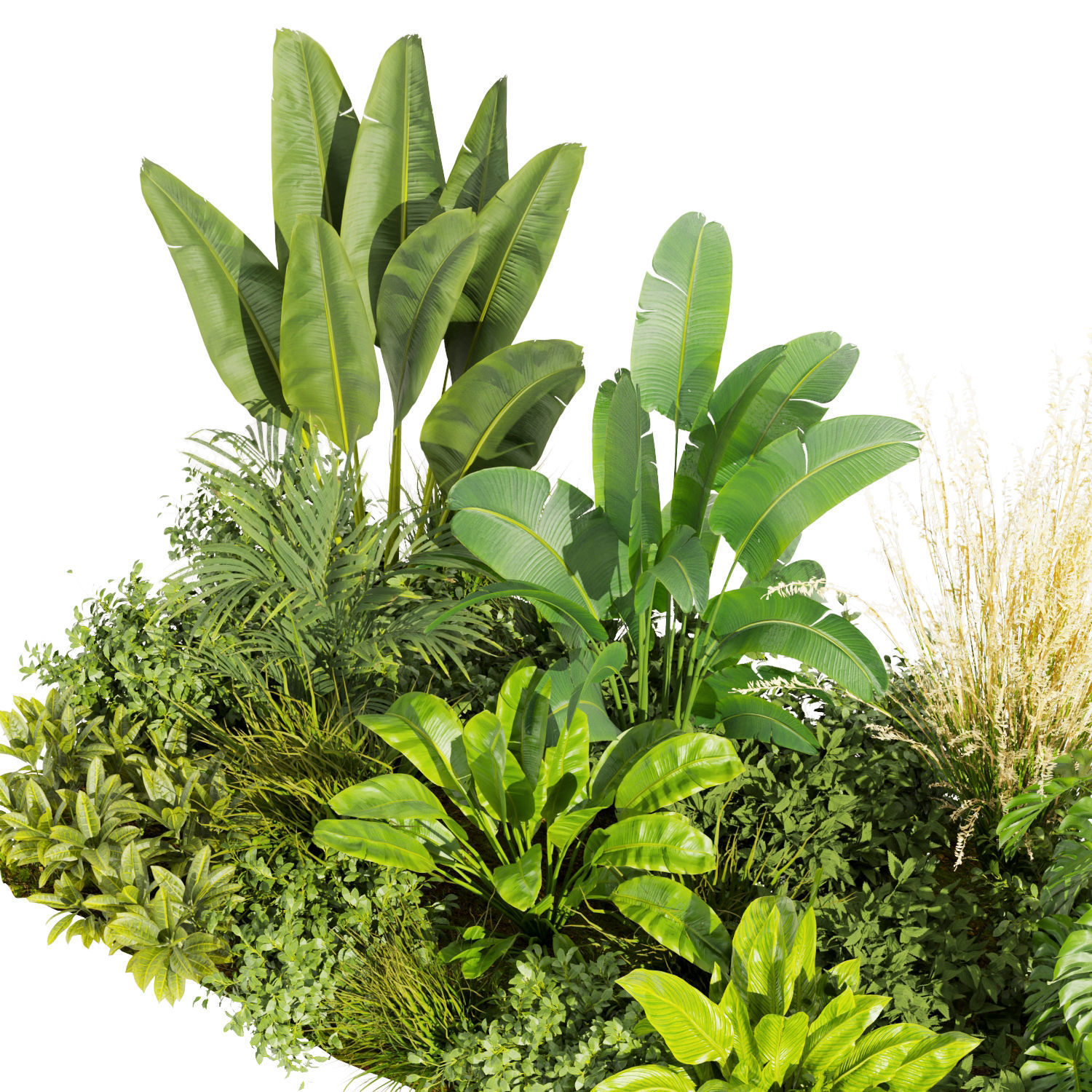 Collection plant vol 456 - indoor - garden - leaf 3D model_1