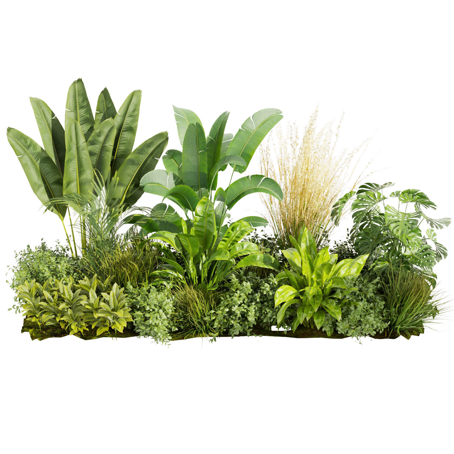 Collection plant vol 456 - indoor - garden - leaf 3D model_4