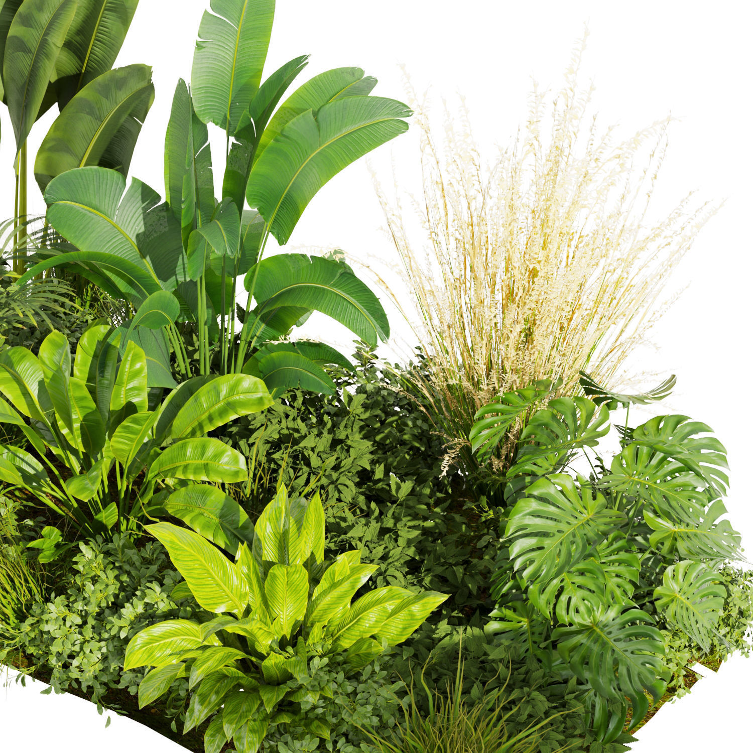 Collection plant vol 456 - indoor - garden - leaf 3D model_2