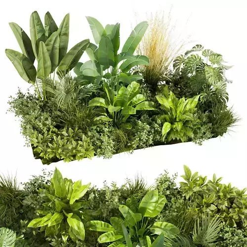 Collection plant vol 456 - indoor - garden - leaf 3D model