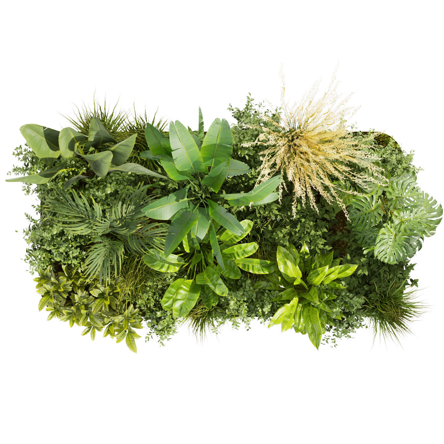 Collection plant vol 456 - indoor - garden - leaf 3D model_3
