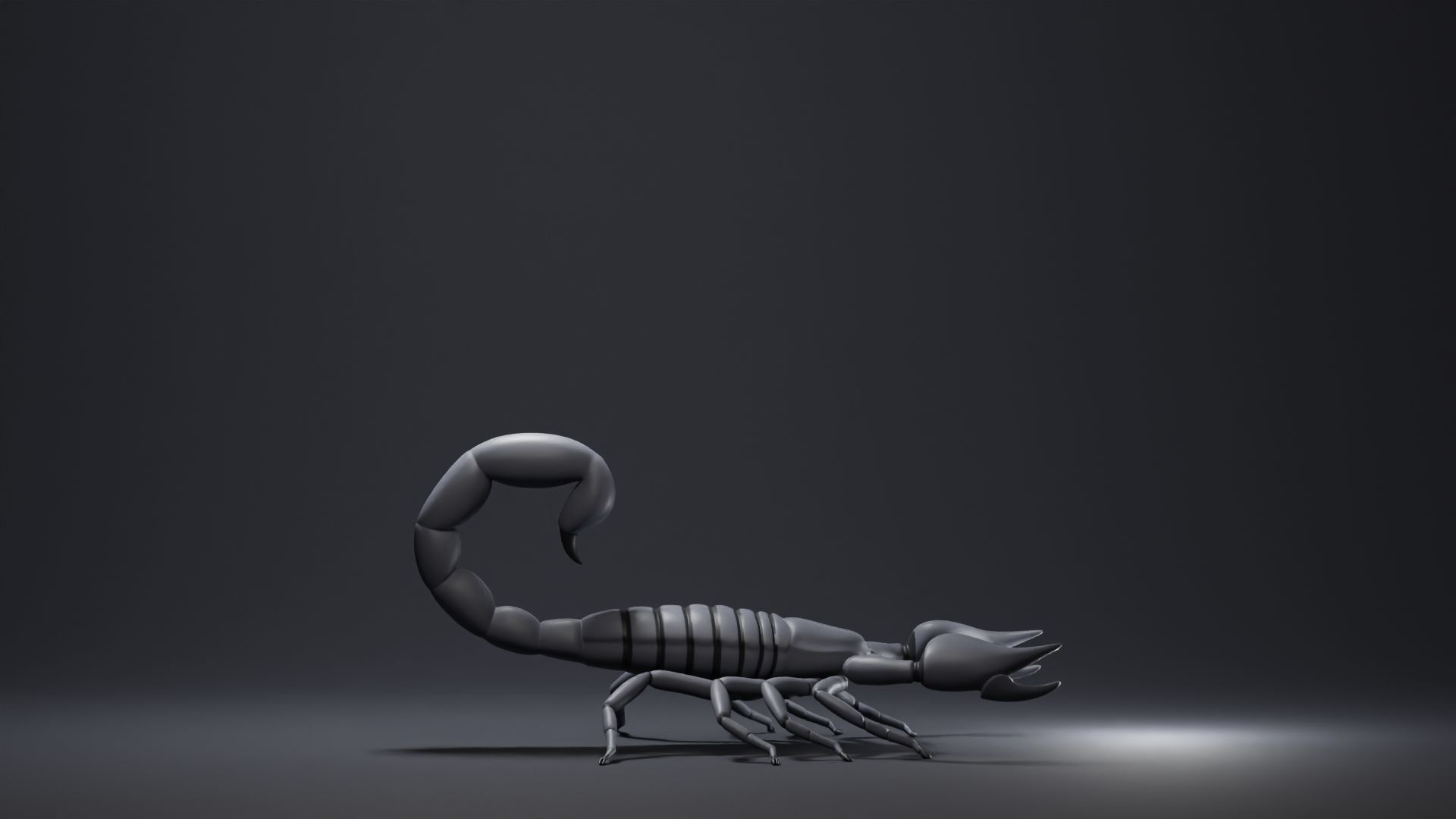Scorpion Base Mesh Low-poly 3D model_3